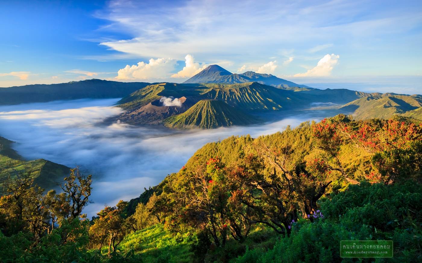 Bromo volcano at sunrise,Tengger Semeru National Park, East Java, Indonesia