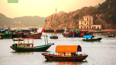 เวียดนาม