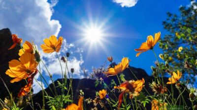 เมืองบาเกียว เมืองชนบทที่น่าพักผ่อน