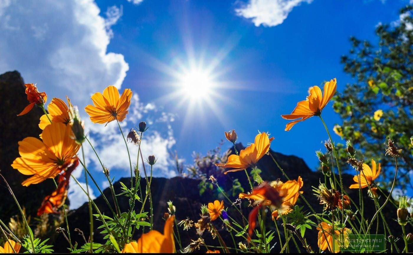 เมืองบาเกียว ประเทศ ฟิลิปปินส์