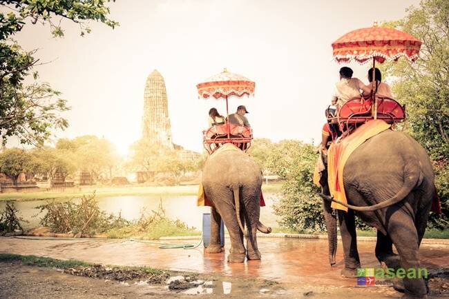 ช้างไทย