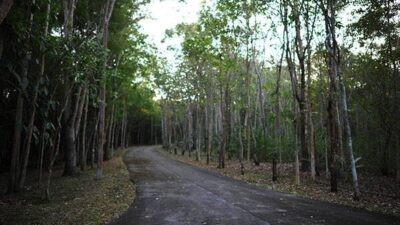 แก่งส้มแมว สวนผึ้ง ราชบุรี