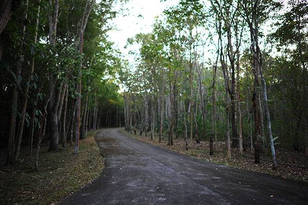 แก่งส้มแมว สวนผึ้ง ราชบุรี