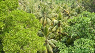 เกาะอูบิน (Pulau Ubin) สิงคโปร์