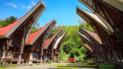 โทราจาแลนด์ ชมบ้านเก็บศพทรงแปลก