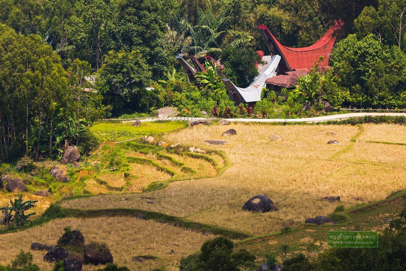 ชมบ้านเก็บศพทรงแปลกที่โทราจาแลนด์