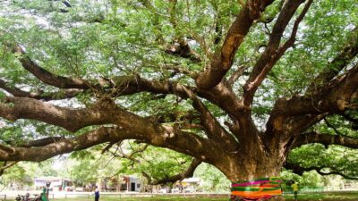 10 สถานที่น่าเที่ยวที่สุดในประเทศไทย: ตั้งแต่เหนือจรดใต้