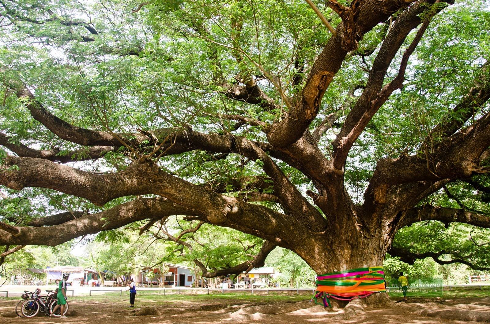 กาญจนบุรี