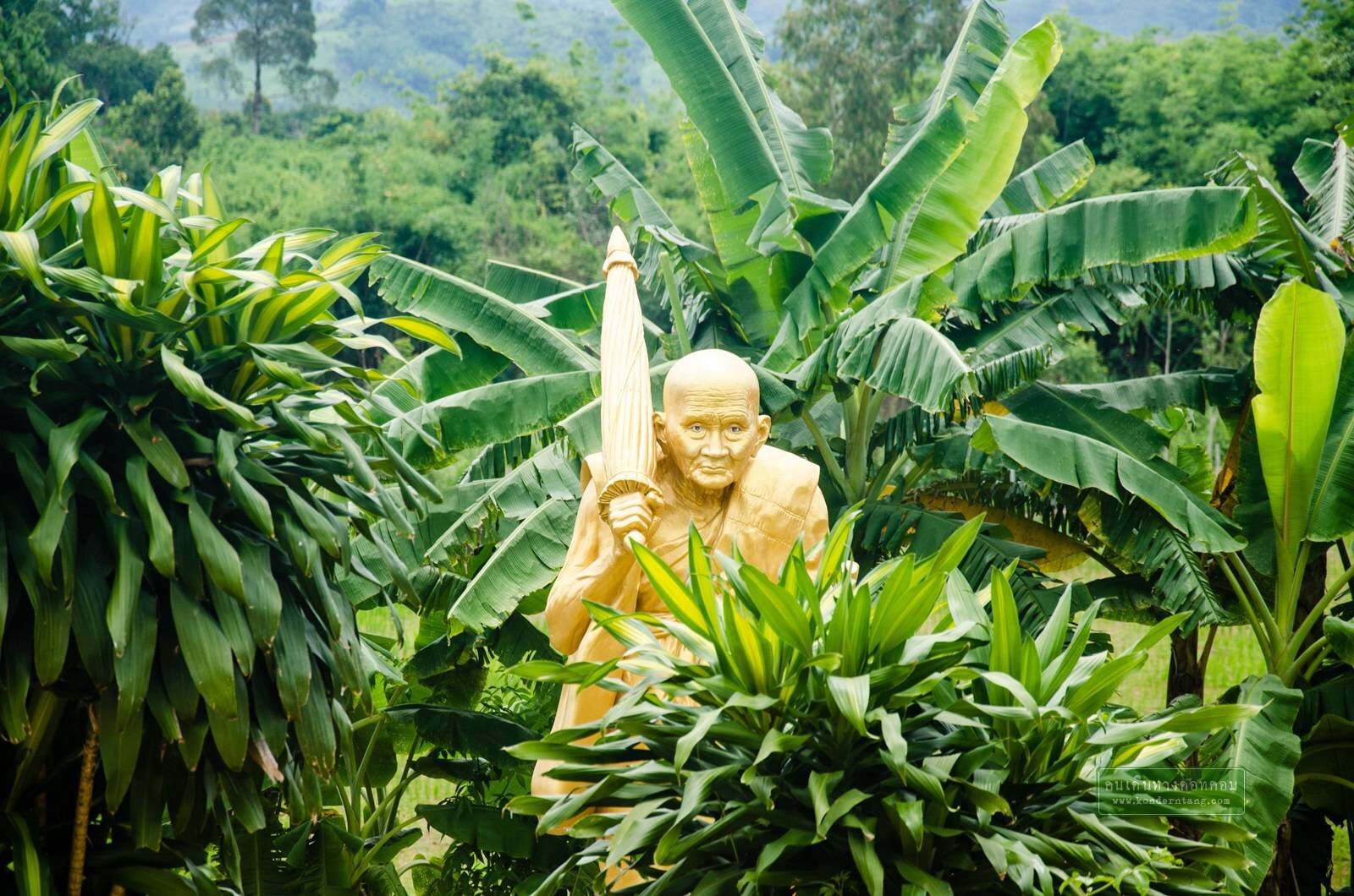 พักเขาค้อ 1 คืน อายุยืน 1 ปี จังหวัดเพชรบูรณ์