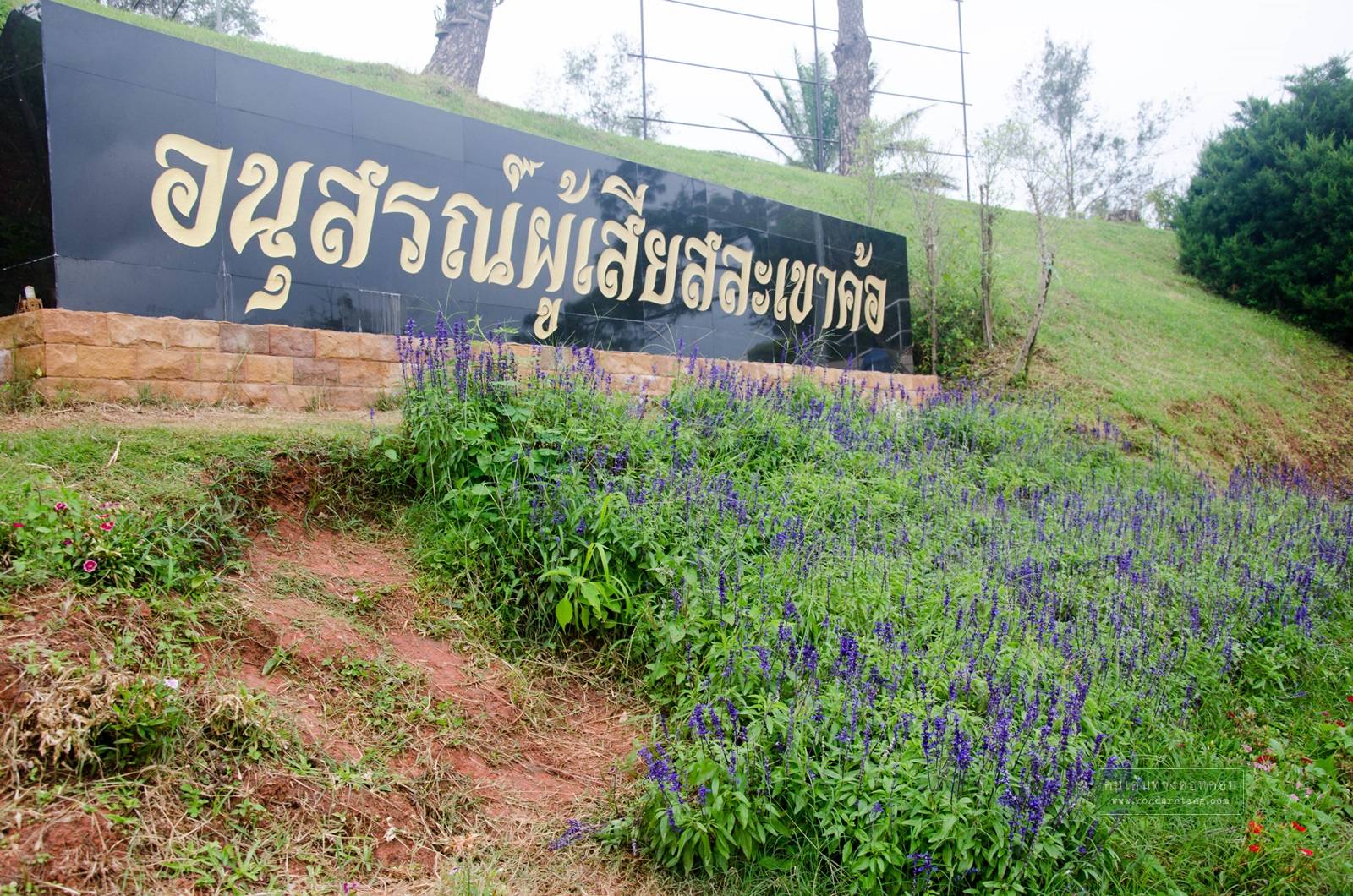 พักเขาค้อ 1 คืน อายุยืน 1 ปี จังหวัดเพชรบูรณ์