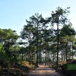 อุทยานแห่งชาติห้วยน้ำดัง