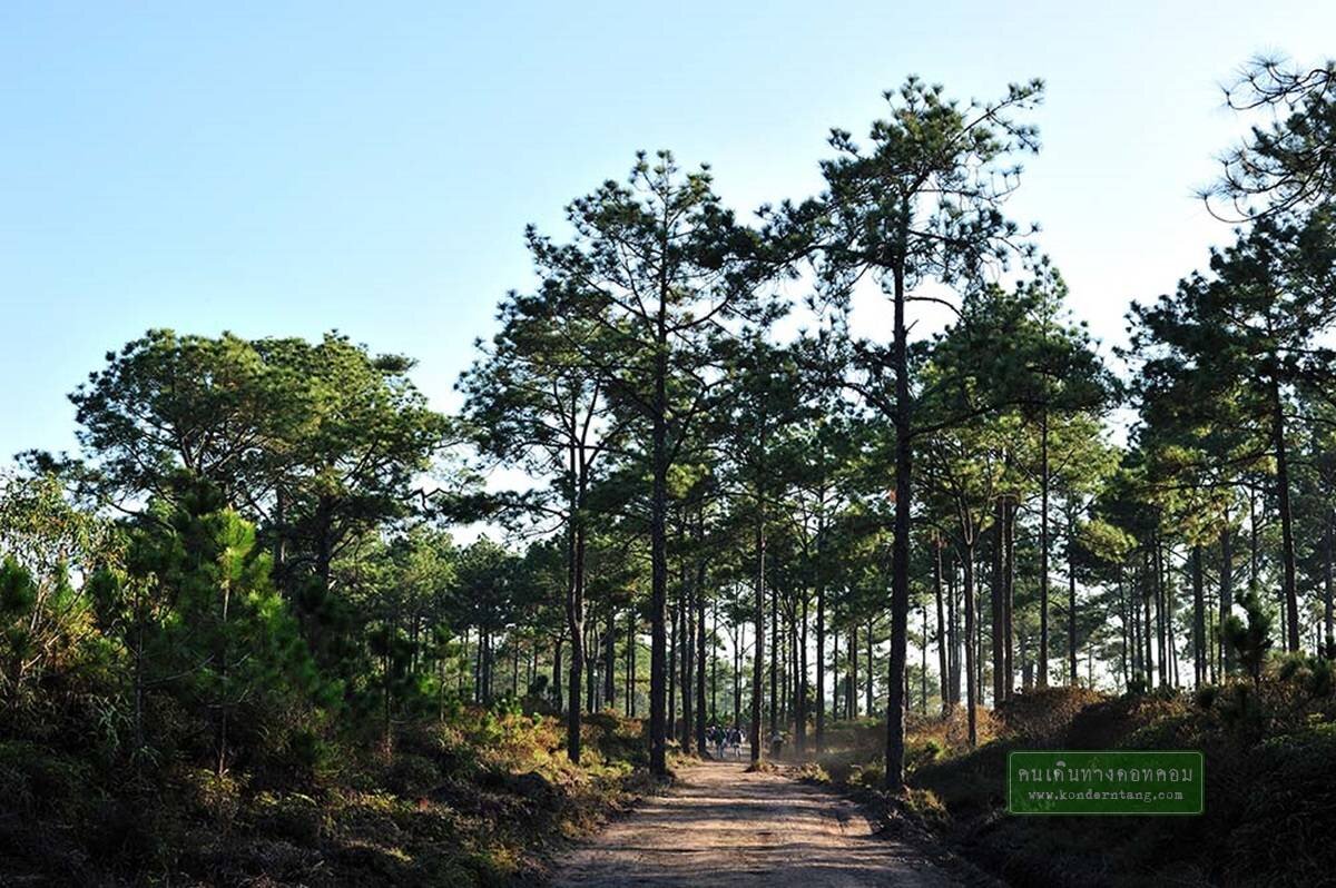 พิสูจน์รักแท้ที่ ภูกระดึง