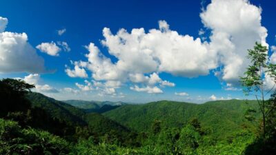 เขาใหญ่ ที่หนึ่งในใจ ของใครหลายคน