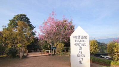 หน้าหนาวมาแล้ว! เช็คลิสต์ 10 ที่เที่ยวสุดฮิต สัมผัสลมหนาว ชมทะเลหมอก ท่ามกลางธรรมชาติ