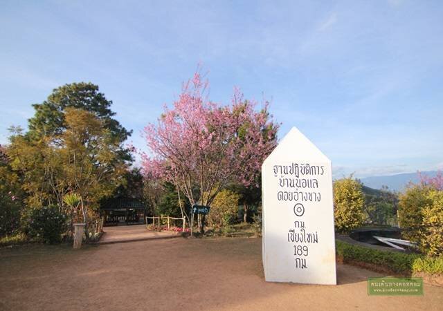 อ่างขางแดนมหัศจรรย์ จังหวัดเชียงใหม่