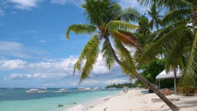 เกาะโบฮอล