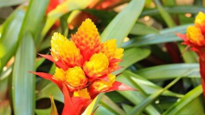 ดาษดาแกลลอรี่