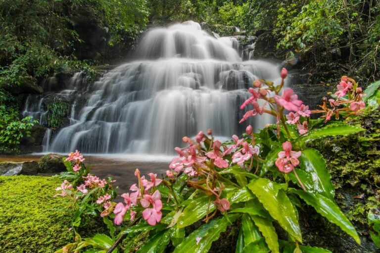 นักท่องเที่ยวแห่เที่ยวหน้าหนาว ยอดจองที่พักพุ่ง 100%