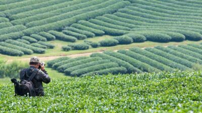 5 ที่พักเชียงใหม่ฟาร์มสเตย์ กินดีอยู่ดี ใกล้ชิดธรรมชาติสุด ๆ