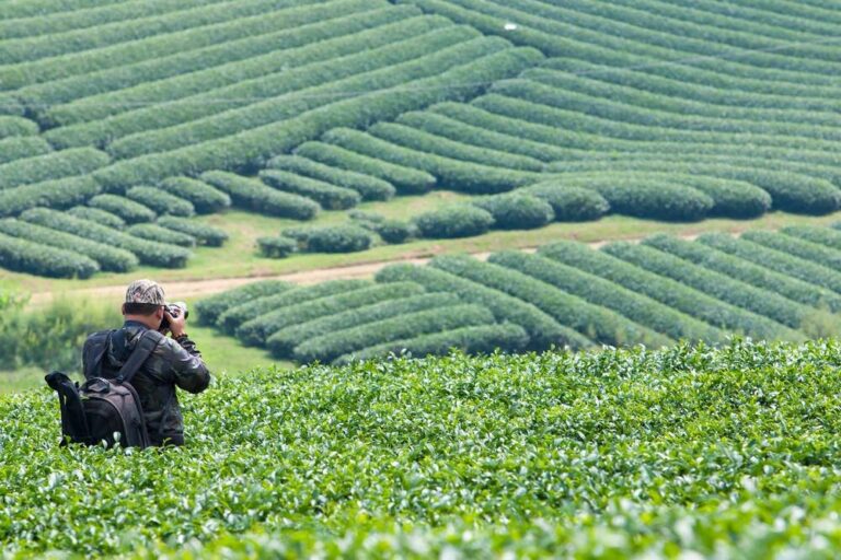 5 ที่พักฟาร์มสเตย์ในเชียงใหม่ กินดีอยู่ดี ใกล้ชิดธรรมชาติสุด ๆ