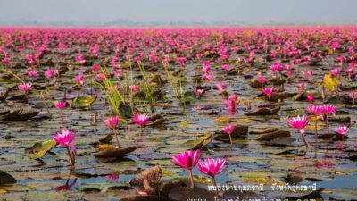 อุดรธานี