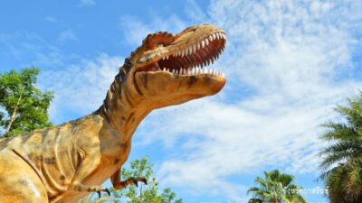 กาฬสินธุ์