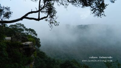 10 พิกัดที่เที่ยว เขาใหญ่ ปากช่อง ไปเช้าเย็นกลับก็ยังได้