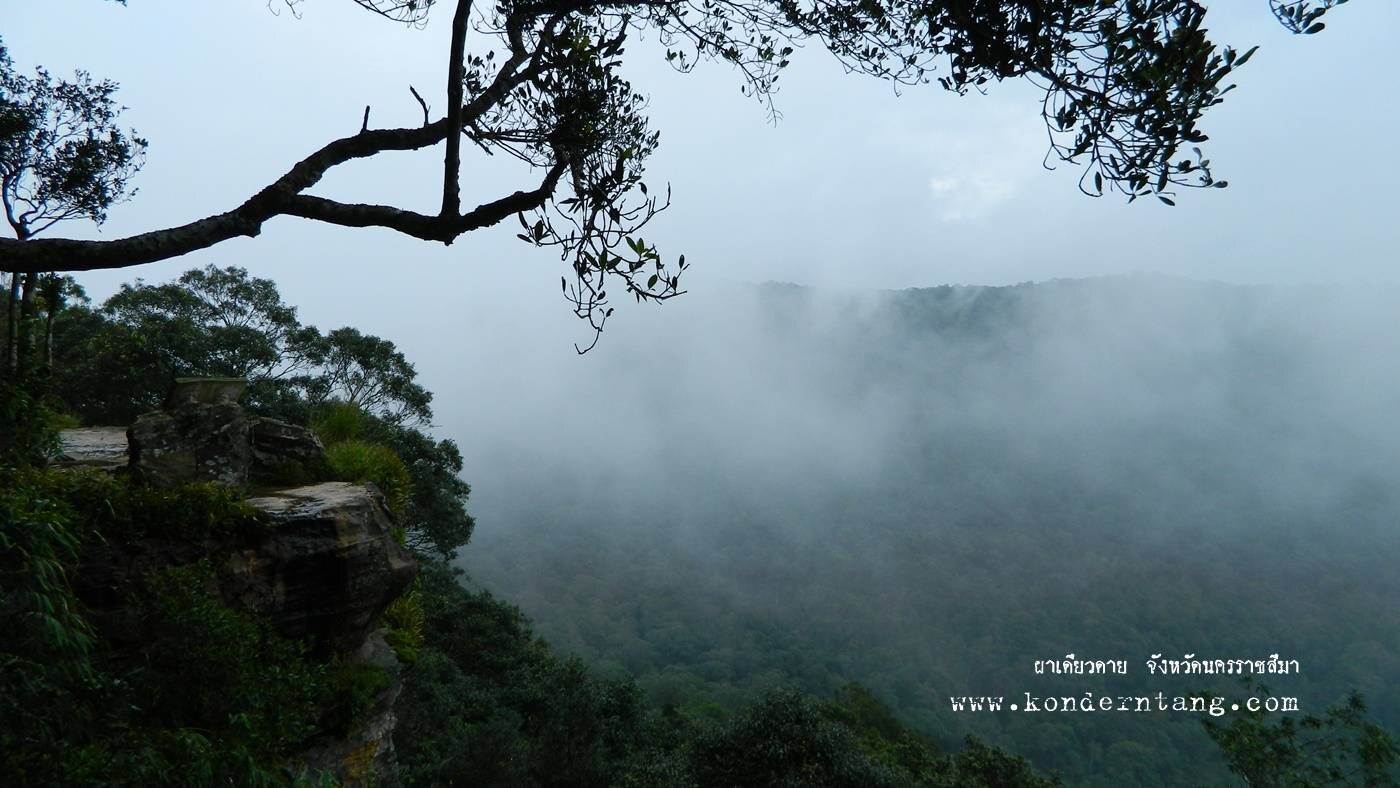 ผาเดียวดาย เขาใหญ่ นครราชสีมา