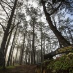 เที่ยวไทยพิสูจน์รักแท้ที่ ภูกระดึง