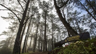 จุดเช็คอิน กิจกรรมที่ต้องทำเมื่อมาเชียงใหม่ แบบไม่ทำถือว่าพลาด!