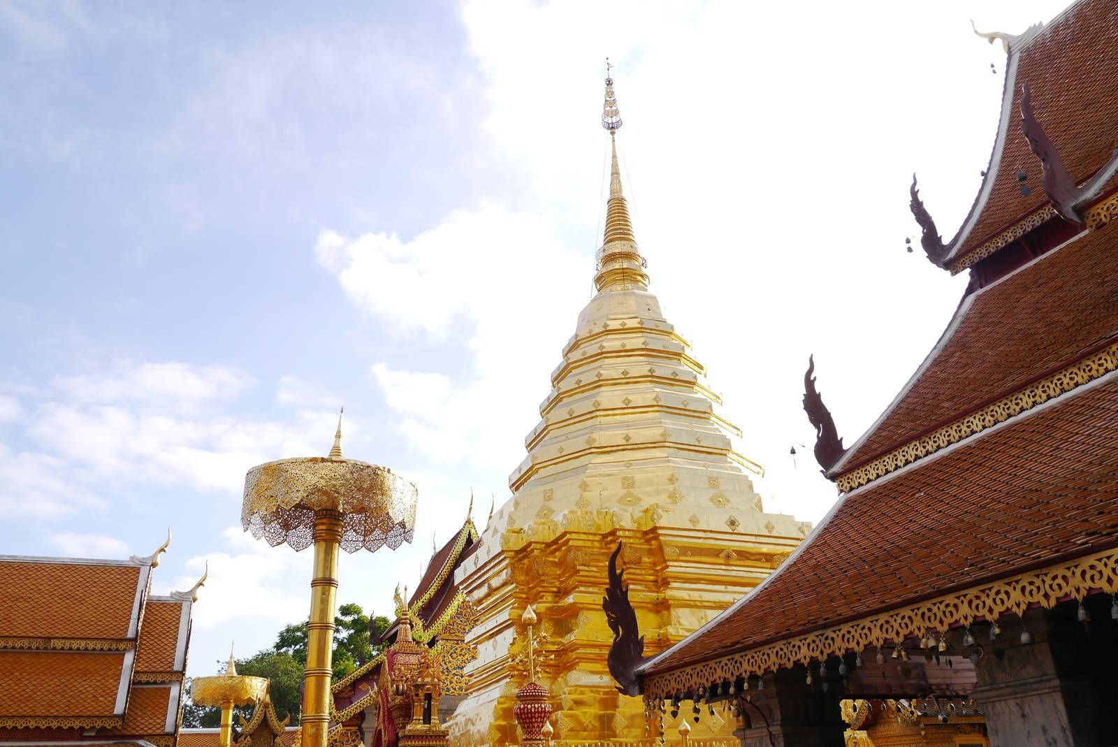 5 ที่เที่ยวยอดนิยมในเชียงใหม่ 6 เที่ยวดอยสุเทพ ดอยปุย