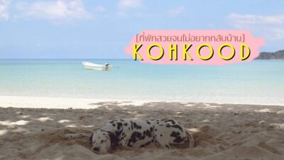 5 ที่พักเกาะกูด สวยจนไม่อยากกลับบ้าน