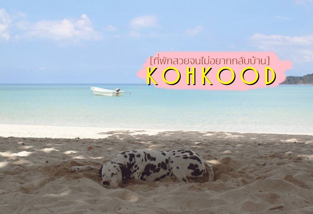 5 ที่พักเกาะกูด สวยจนไม่อยากกลับบ้าน