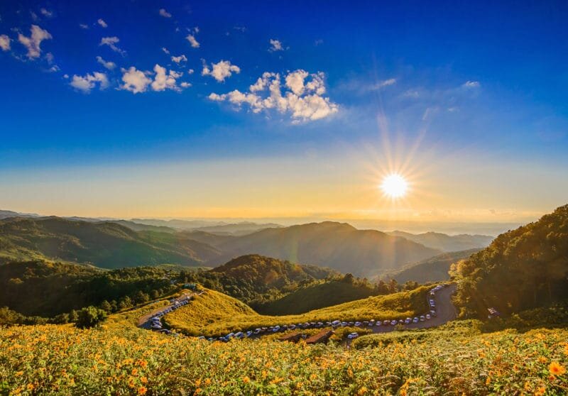 ทุ่งดอกบัวตอง ดอยแม่อูคอ แม่ฮ่องสอน