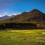 เที่ยวไทยพิสูจน์รักแท้ที่ ภูกระดึง