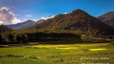 ภูเรือ ในความทรงจำ