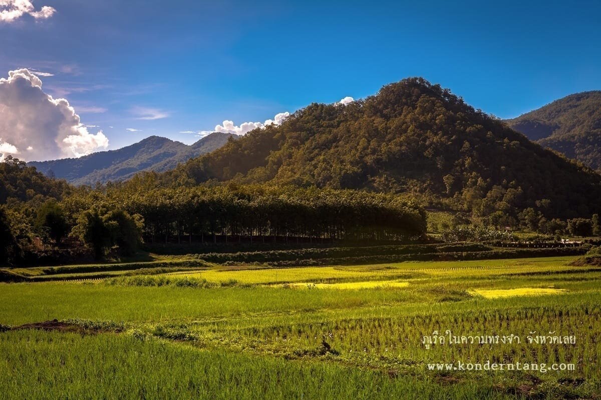 ภูเรือ จังหวัดเลย