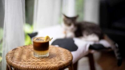 6 คาเฟ่น่านั่ง ที่สายชิวต้องไม่พลาดเช็คอิน !!