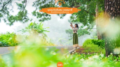ชมความงามของธรรมชาติและทะเลหมอก กับจุดชมวิวต้นสน ดอยผาฮี้