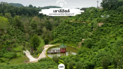 สัมผัสความงามของไร่ชา วัฒนธรรมจีนยูนาน และวิวพระอาทิตย์ขึ้นสุดอลังการ ที่เลาลีฮิลล์รีสอร์ท ดอยวาวี