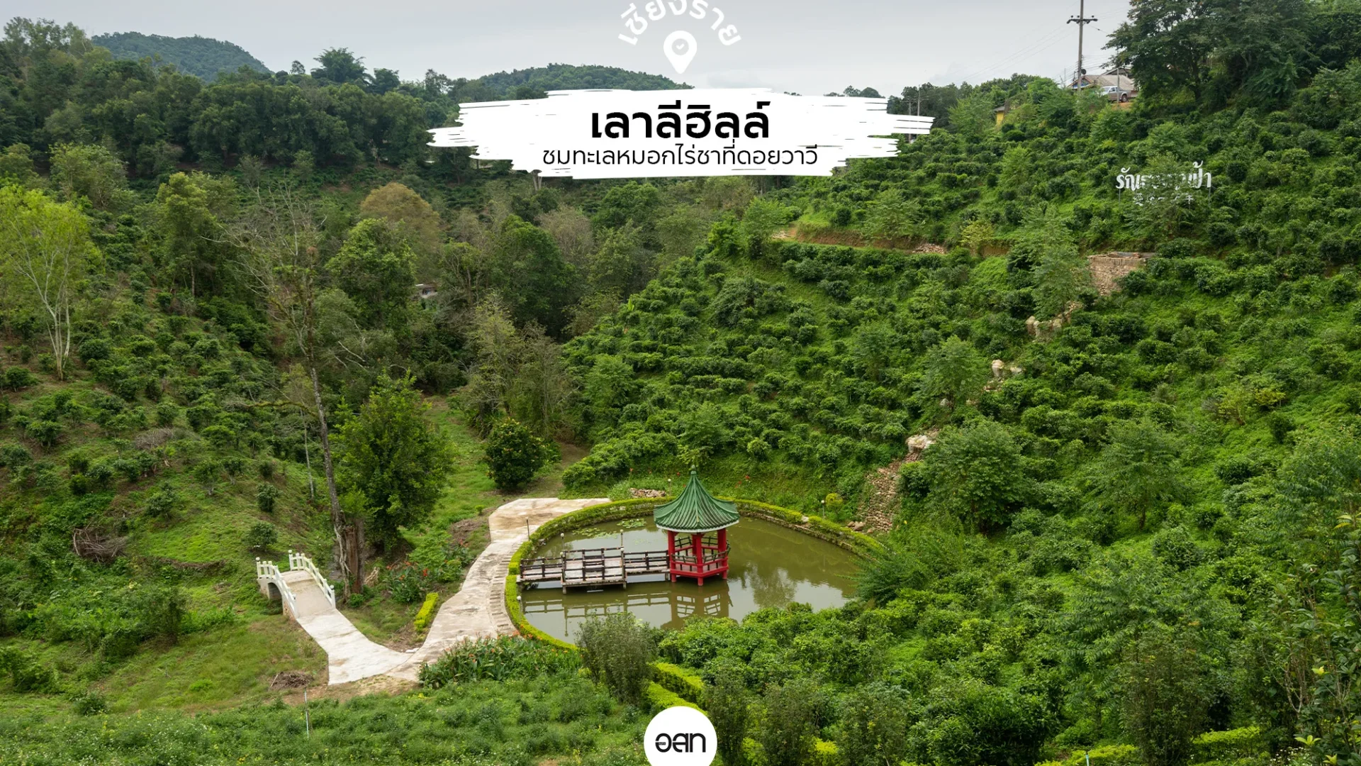 เลาลีฮิลล์ ดอยวาวี เชียงราย