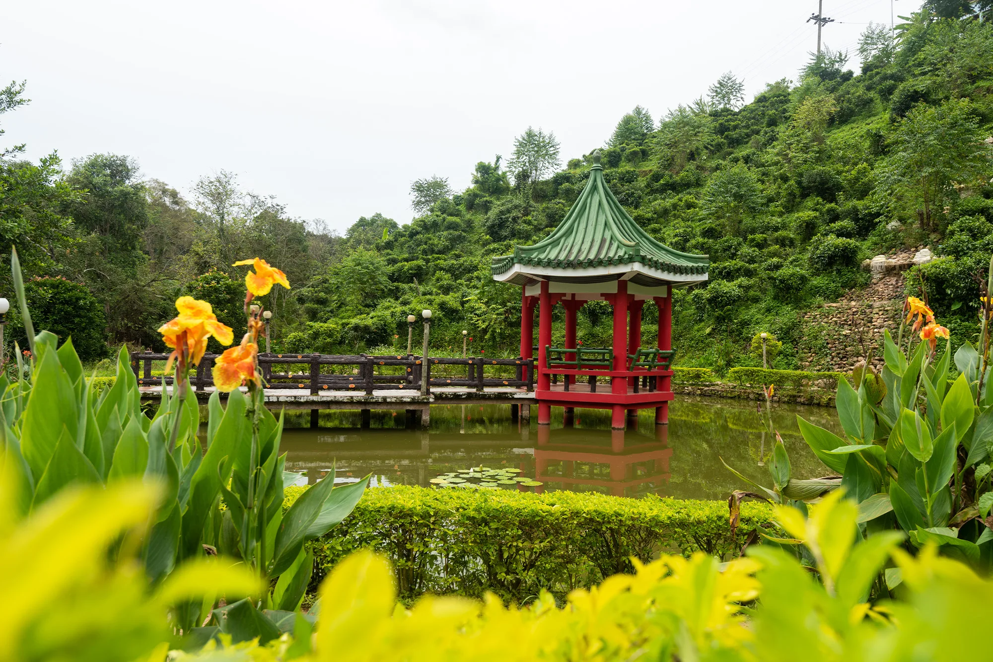 สัมผัสความงามของไร่ชา วัฒนธรรมจีนยูนาน และวิวพระอาทิตย์ขึ้นสุดอลังการ ที่เลาลีฮิลล์รีสอร์ท ดอยวาวี 12 เลาลีฮิลล์ ดอยวาวี เชียงราย