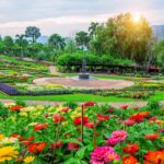 ประเพณีและกิจกรรมของเทศกาลลอยกระทง