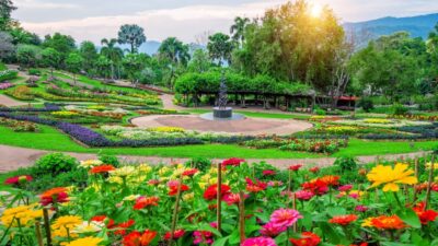 ตามรอยตำนานพระธาตุดอยตุง: ศูนย์รวมจิตใจชาวเชียงราย