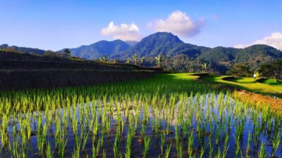 ผจญภัยในถ้ำหลวงขุนน้ำนางนอน: ตามรอยทีมหมูป่า